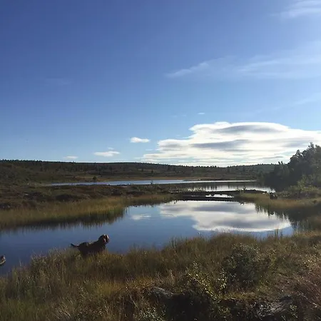 Отель Guriset Hoyfjellshotell *