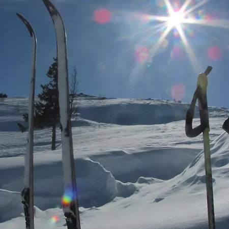 Guriset Hoyfjellshotell * Golsfjellet