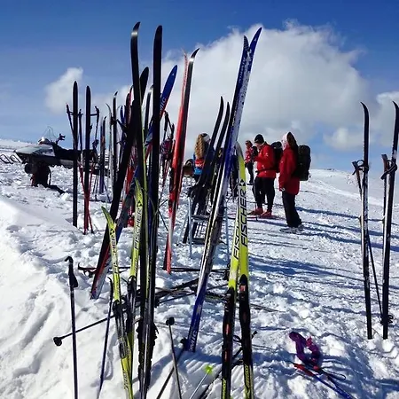 Guriset Hoyfjellshotell * Golsfjellet