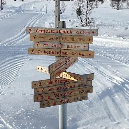 Guriset Hoyfjellshotell * Golsfjellet