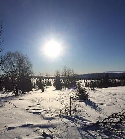 Guriset Hoyfjellshotell * Golsfjellet